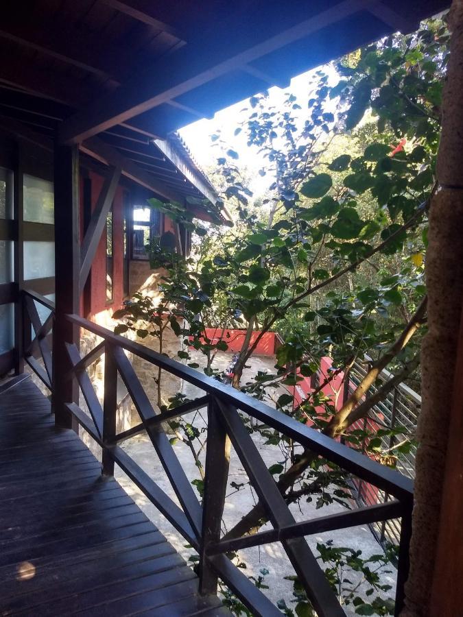 La Roca House Villa Praia do Rosa Bagian luar foto